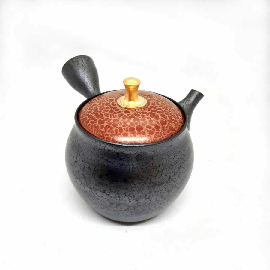 Kyusu Japanese Teapot 230mL - #108