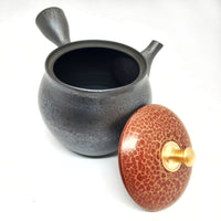 Kyusu Japanese Teapot 230mL - #108